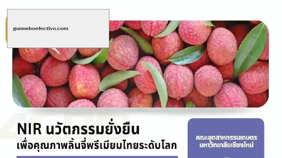 Chiang Mai University
